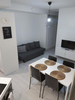 Nordic Haven Rovaniemi Modern DT 2R Apartment -Self Check-In & Free WiFi